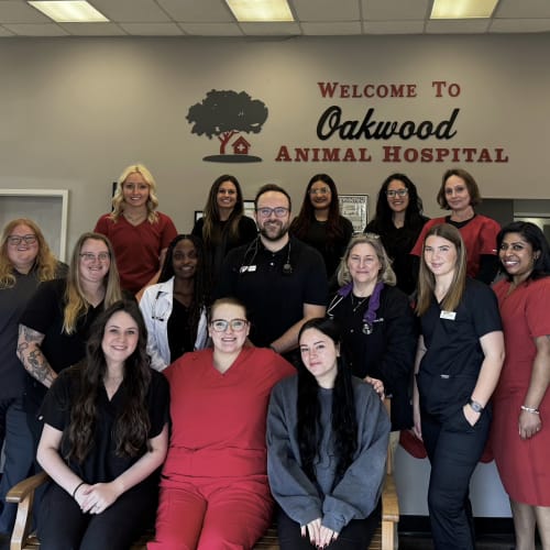 Oakwood Animal Hospital in Oakwood